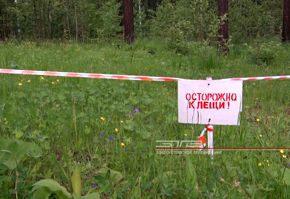 В «Лесной сказке» сразу на двух детях обнаружили клещей