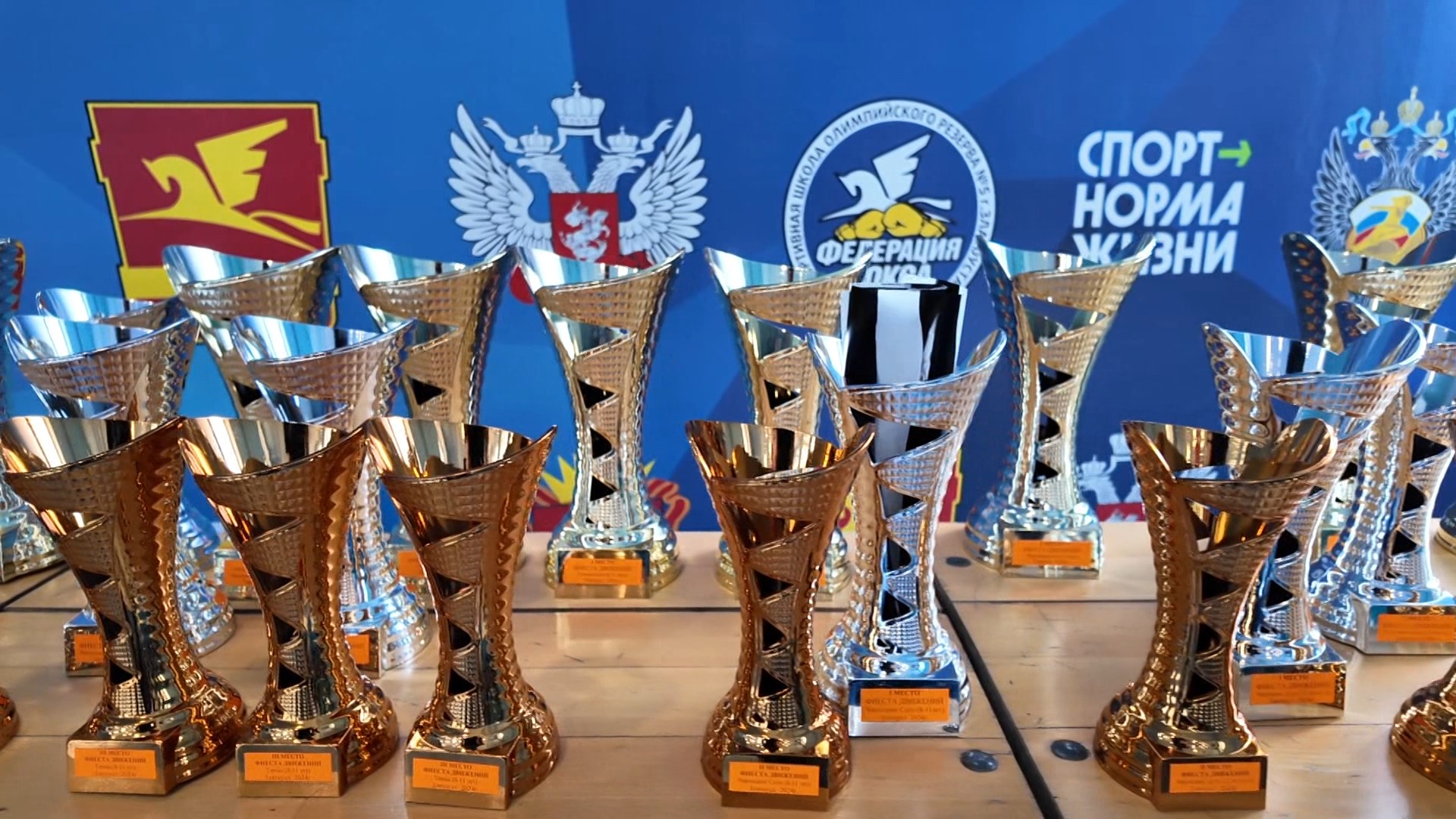 Спортивный праздник «Фиеста движений» объединил более 350 участников