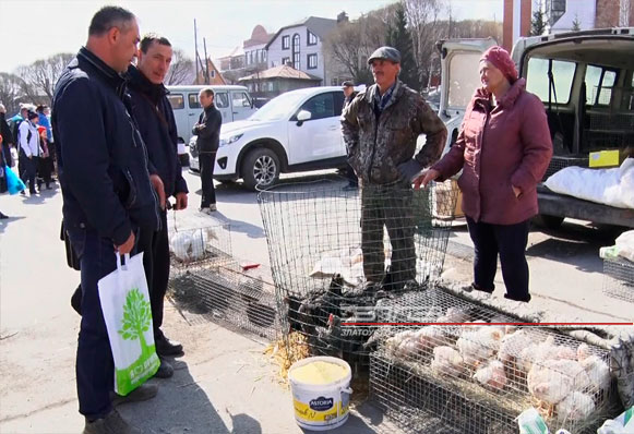 Мясо из Башкирии, мед из Оренбурга и редкие виды кур из Набережных Челнов