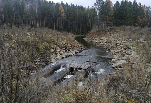 «КОРОТКИЕ НОВОСТИ» 25.11.2022