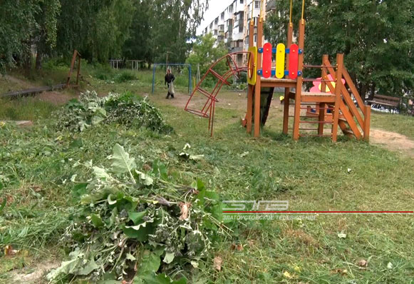 Жители Северо-Запада наводят порядок в своих дворах и на территории детских площадок