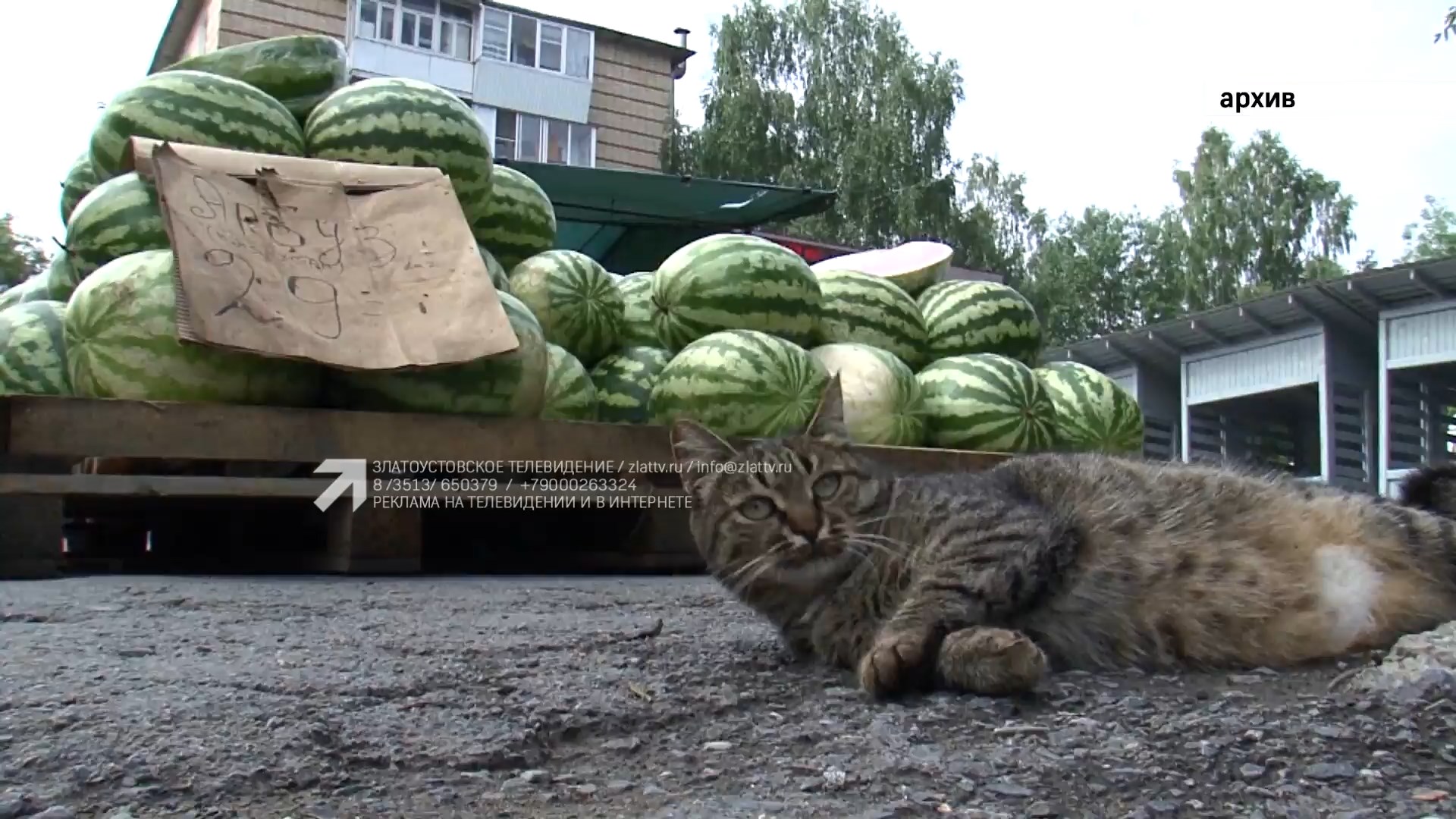 «БЛОК КОРОТКИХ НОВОСТЕЙ» 05.08.2025