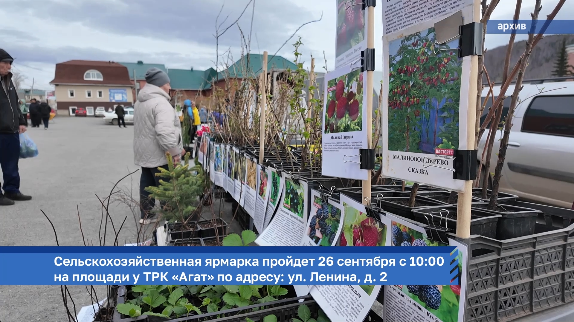 Златоустовцев вновь приглашают на традиционную сельскохозяйственную ярмарку