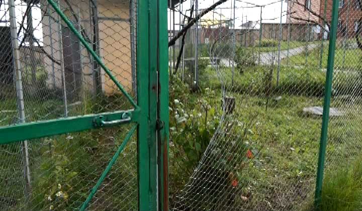 В Златоусте неизвестные открыли охоту в Парке птиц