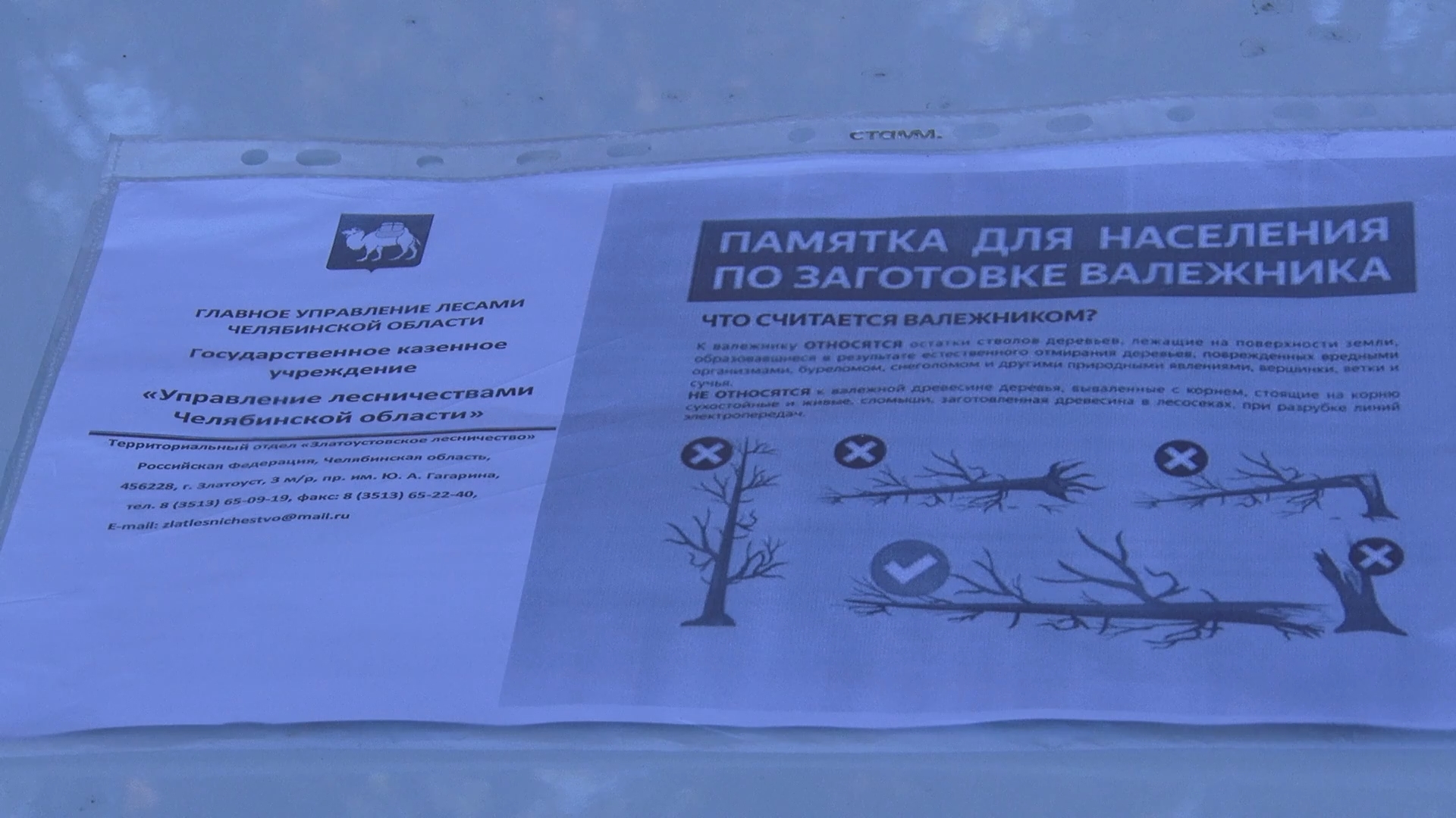 Упавший лес — в дело