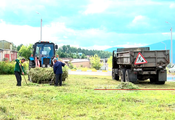 В Златоусте бороться с зарослями травы помогает новая техника