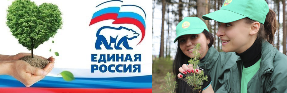 Жителей приглашают поучаствовать в высадке деревьев