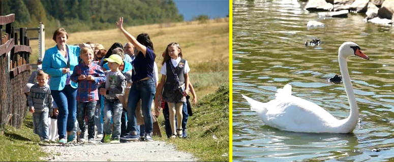 Несколько школ Златоуста необычно начали учебный год
