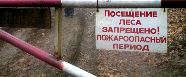В области вводится особый противопожарный режим