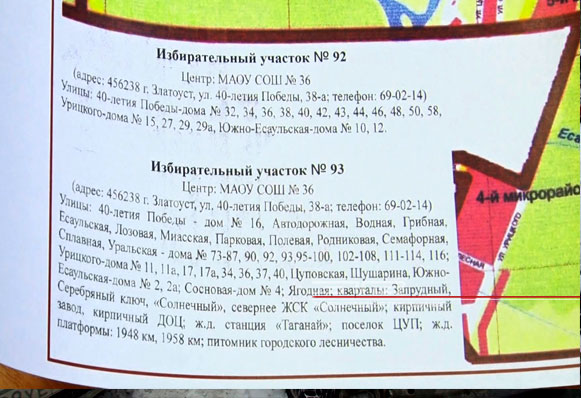 На финишной прямой. 17 марта пройдут дополнительные выборы в местный парламент