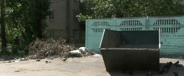 Субботники прошли, мусор остался. На Дворцовой и Шишкина коммунальщики про него «забыли»